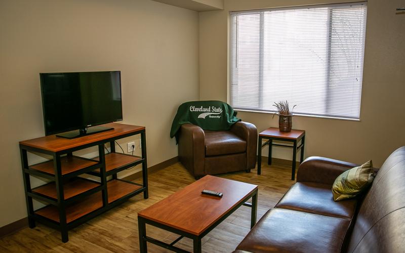 Photo of a living room in the Euclid Commons residence hall